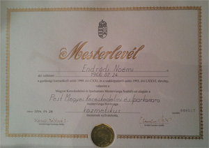 mesterlevél